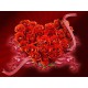 HeartZu Foaie zahar trandafiri de Dragobete 29x20cm